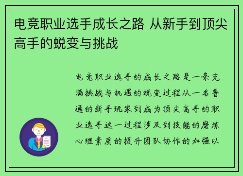 电竞职业选手成长之路 从新手到顶尖高手的蜕变与挑战